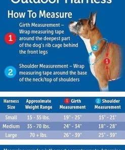 PetSafe Walk Along Nylon Reflective Back Clip Dog Harness -PetSafe Store 201034 PT6. SY630 V1584969752