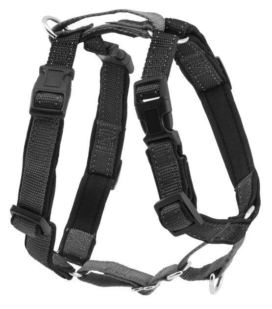 PetSafe 3-in-1 Reflective Dog Harness & Leash 1 PetSafe 3-in-1 Reflective Dog Harness & Leash