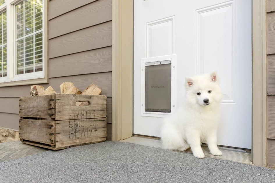 PetSafe Aluminum Extreme Weather Dog & Cat Door 2 PetSafe Aluminum Extreme Weather Dog & Cat Door - Image 2
