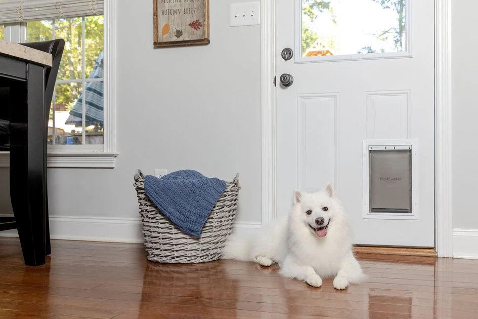 PetSafe Aluminum Extreme Weather Dog & Cat Door 3 PetSafe Aluminum Extreme Weather Dog & Cat Door - Image 3