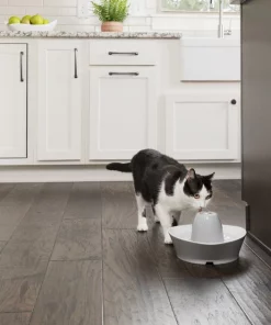 PetSafe Creekside Ceramic Dog & Cat Fountain, 60-oz -PetSafe Store 247077 PT6. SY630 V1596740182