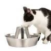 PetSafe Seaside Stainless Dog & Cat Fountain