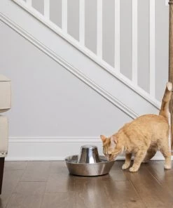 PetSafe Seaside Stainless Dog & Cat Fountain -PetSafe Store 247079 PT6. SY630 V1596739601