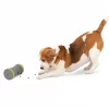 PetSafe Kibble Chase Roaming Treat Dropper Dog Toy