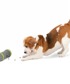 PetSafe Kibble Chase Roaming Treat Dropper Dog Toy