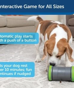 PetSafe Kibble Chase Roaming Treat Dropper Dog Toy -PetSafe Store 266209 PT3. SY630 V1648652214