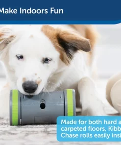 PetSafe Kibble Chase Roaming Treat Dropper Dog Toy -PetSafe Store 266209 PT5. SY630 V1648610199