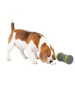 PetSafe Kibble Chase Roaming Treat Dropper Dog Toy -PetSafe Store 266209 PT6. SY630 V1648601197