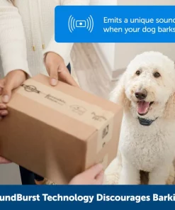 PetSafe Audible Bark Dog Collar, Blue -PetSafe Store 309045 PT2. SY630 V1658949477