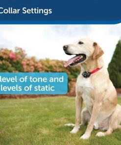 PetSafe Deluxe In-Ground UltraLight Receiver Collar 7 PetSafe Deluxe In-Ground UltraLight Receiver Collar -PetSafe Store 320907 PT3. SY630 V1631050042