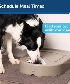 PetSafe Eatwell 5-Meal Automatic Dog & Cat Feeder 9 PetSafe Eatwell 5-Meal Automatic Dog & Cat Feeder -PetSafe Store 320908 PT3. SY630 V1631052094
