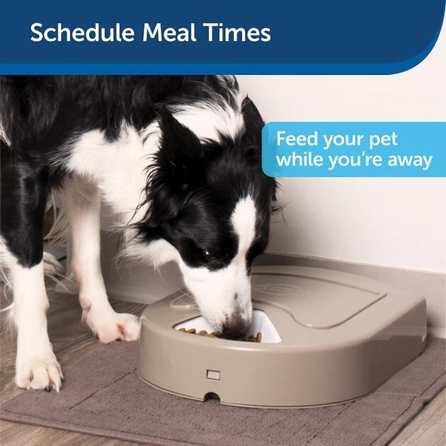 PetSafe Eatwell 5-Meal Automatic Dog & Cat Feeder 4 PetSafe Eatwell 5-Meal Automatic Dog & Cat Feeder - Image 4