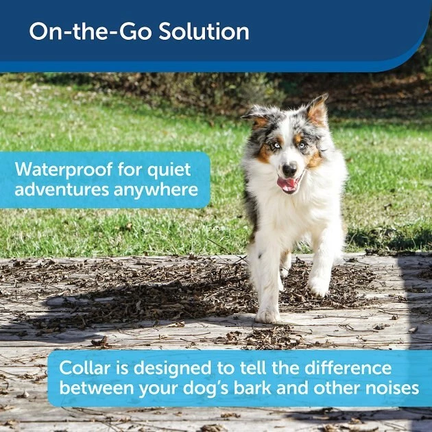 PetSafe Static Basic Waterproof Dog Bark Collar 3 PetSafe Static Basic Waterproof Dog Bark Collar - Image 3