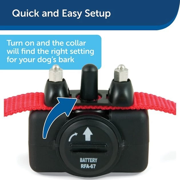 PetSafe Static Basic Waterproof Dog Bark Collar 4 PetSafe Static Basic Waterproof Dog Bark Collar - Image 4