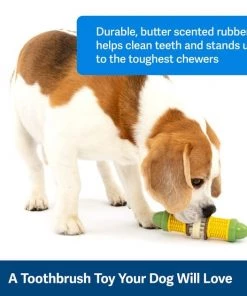 PetSafe Busy Buddy Cravin’ Corncob Chew Dog Toy -PetSafe Store 346845 PT2. SY630 V1637003192