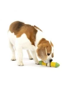 PetSafe Busy Buddy Cravin’ Corncob Chew Dog Toy -PetSafe Store 346845 PT6. SY630 V1637003791