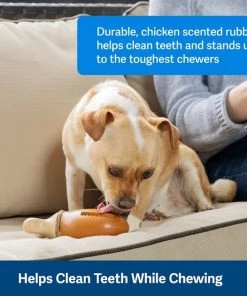 PetSafe Busy Buddy Chompin' Chicken Chew Dog Toy -PetSafe Store 346848 PT2. SY630 V1637003190