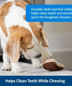 PetSafe Busy Buddy Slab o’ Sirloin Chew Dog Toy -PetSafe Store 346851 PT2. SY630 V1637003201