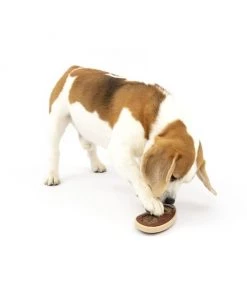 PetSafe Busy Buddy Slab o’ Sirloin Chew Dog Toy -PetSafe Store 346851 PT6. SY630 V1637003814