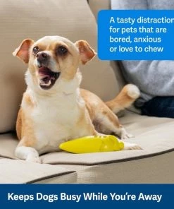 PetSafe Frosty Cone Chew Dog Toy 10 PetSafe Frosty Cone Chew Dog Toy -PetSafe Store 346854 PT2. SY630 V1637003207