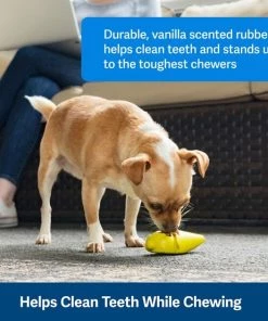 PetSafe Frosty Cone Chew Dog Toy 11 PetSafe Frosty Cone Chew Dog Toy -PetSafe Store 346854 PT3. SY630 V1637003223