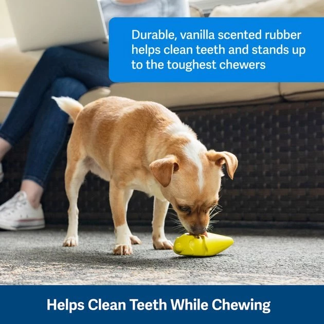 PetSafe Frosty Cone Chew Dog Toy 4 PetSafe Frosty Cone Chew Dog Toy - Image 4