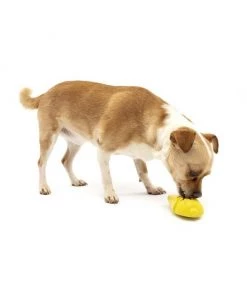 PetSafe Frosty Cone Chew Dog Toy 14 PetSafe Frosty Cone Chew Dog Toy -PetSafe Store 346854 PT6. SY630 V1637003798