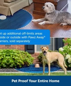 PetSafe Classic In-Ground Fence System Dog & Cat Training Tool -PetSafe Store 363238 PT5. SY630 V1651253188