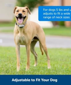 PetSafe Classic In-Ground Fence Rechargeable Receiver Dog & Cat Collar 8 PetSafe Classic In-Ground Fence Rechargeable Receiver Dog & Cat Collar -PetSafe Store 363240 PT2. SY630 V1651253200