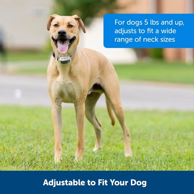 PetSafe Classic In-Ground Fence Rechargeable Receiver Dog & Cat Collar 3 PetSafe Classic In-Ground Fence Rechargeable Receiver Dog & Cat Collar - Image 3