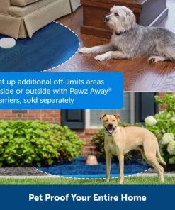 PetSafe Classic In-Ground Fence Rechargeable Receiver Dog & Cat Collar 10 PetSafe Classic In-Ground Fence Rechargeable Receiver Dog & Cat Collar -PetSafe Store 363240 PT4. SY630 V1651253205