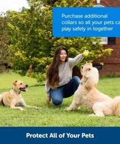 PetSafe Classic In-Ground Fence Rechargeable Receiver Dog & Cat Collar 11 PetSafe Classic In-Ground Fence Rechargeable Receiver Dog & Cat Collar -PetSafe Store 363240 PT5. SY630 V1651249296