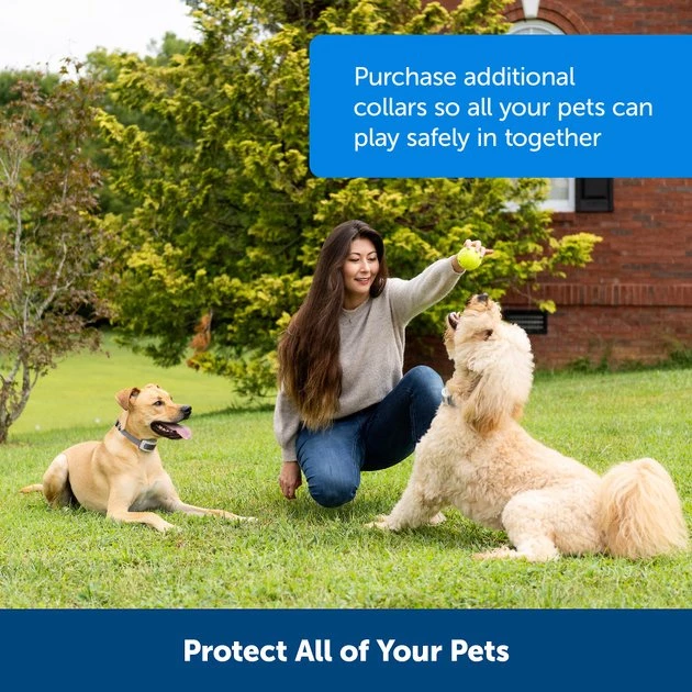 PetSafe Classic In-Ground Fence Rechargeable Receiver Dog & Cat Collar 6 PetSafe Classic In-Ground Fence Rechargeable Receiver Dog & Cat Collar - Image 6