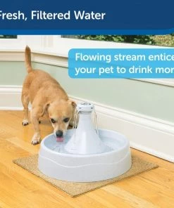 Drinkwell 360 Plastic Dog & Cat Fountain 12 Drinkwell 360 Plastic Dog & Cat Fountain -PetSafe Store 63124 PT3. SY630 V1616681819