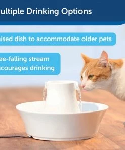 Drinkwell Avalon Ceramic Dog & Cat Fountain -PetSafe Store 63142 PT3. SY630 V1590605538