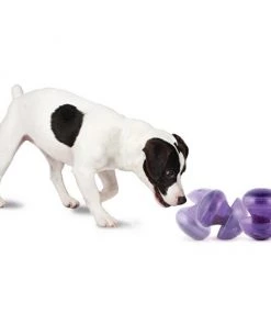 Busy Buddy Magic Mushroom Treat Dispenser Dog Toy 10 Busy Buddy Magic Mushroom Treat Dispenser Dog Toy -PetSafe Store 63191 PT2. SY630 V1602310560