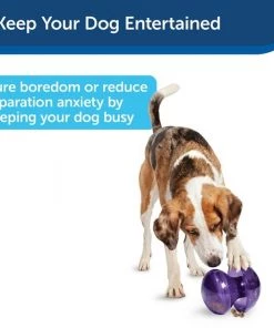 Busy Buddy Magic Mushroom Treat Dispenser Dog Toy 11 Busy Buddy Magic Mushroom Treat Dispenser Dog Toy -PetSafe Store 63191 PT3. SY630 V1602299758