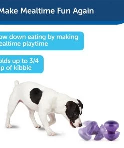 Busy Buddy Magic Mushroom Treat Dispenser Dog Toy 14 Busy Buddy Magic Mushroom Treat Dispenser Dog Toy -PetSafe Store 63191 PT7. SY630 V1602298859