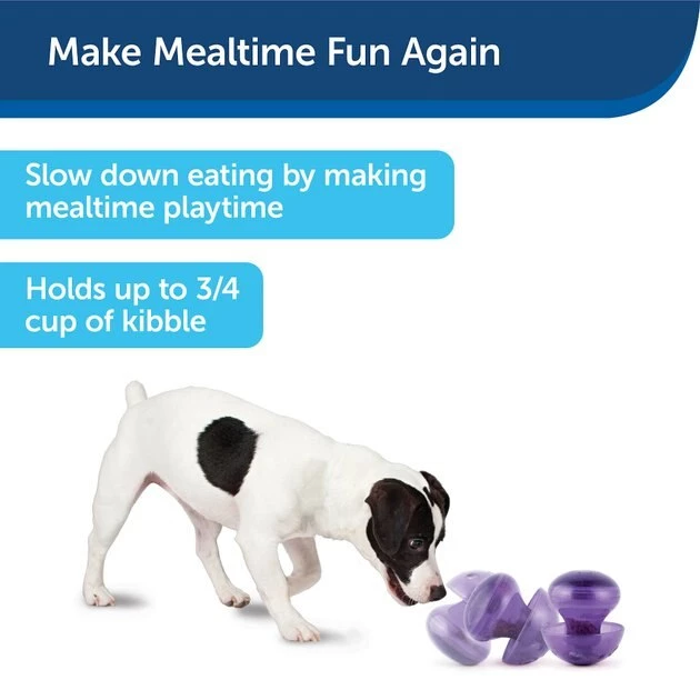 Busy Buddy Magic Mushroom Treat Dispenser Dog Toy 7 Busy Buddy Magic Mushroom Treat Dispenser Dog Toy - Image 7