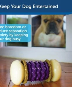 PetSafe Sportsmen Nobbly Nubbly Treat Dispensing Tough Dog Chew Toy 9 PetSafe Sportsmen Nobbly Nubbly Treat Dispensing Tough Dog Chew Toy -PetSafe Store 63195 PT3. SY630 V1602327660