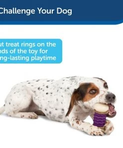 PetSafe Sportsmen Nobbly Nubbly Treat Dispensing Tough Dog Chew Toy 12 PetSafe Sportsmen Nobbly Nubbly Treat Dispensing Tough Dog Chew Toy -PetSafe Store 63195 PT6. SY630 V1602307859