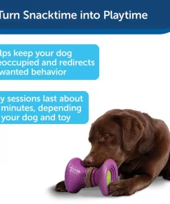 Busy Buddy Ultra-Thick Natural Rawhide Rings Dog Treats, Size F 9 Busy Buddy Ultra-Thick Natural Rawhide Rings Dog Treats, Size F -PetSafe Store 63311 PT2. SY630 V1620012130