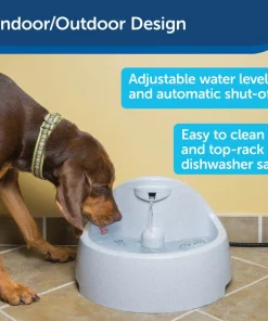 Drinkwell Everflow Plastic Dog & Cat Fountain -PetSafe Store 63326 PT3. SY630 V1598892097