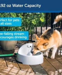 Drinkwell Everflow Plastic Dog & Cat Fountain -PetSafe Store 63326 PT6. SY630 V1598894156