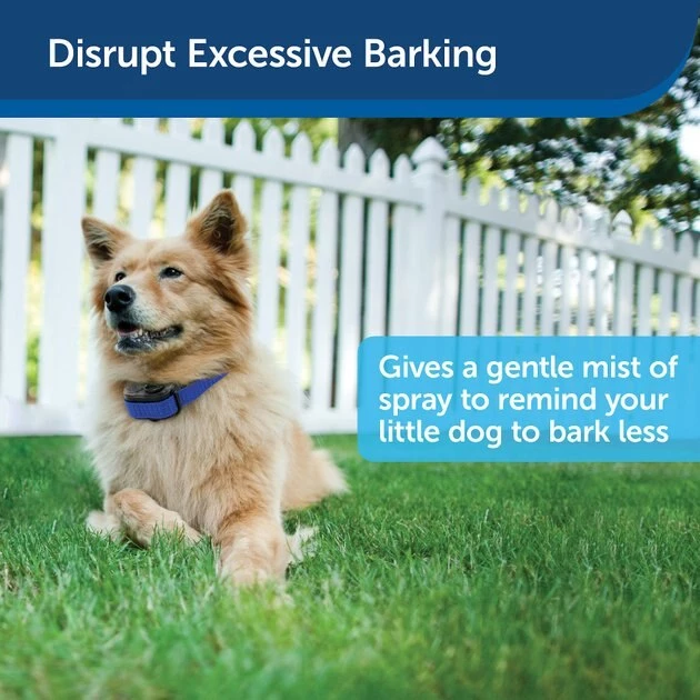 PetSafe Elite Little Dog Waterproof Spray Dog Bark Collar 2 PetSafe Elite Little Dog Waterproof Spray Dog Bark Collar - Image 2