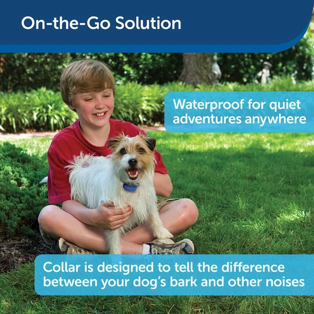 PetSafe Elite Little Dog Waterproof Spray Dog Bark Collar 3 PetSafe Elite Little Dog Waterproof Spray Dog Bark Collar - Image 3