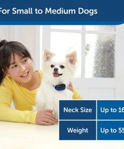 PetSafe Elite Little Dog Waterproof Spray Dog Bark Collar 11 PetSafe Elite Little Dog Waterproof Spray Dog Bark Collar -PetSafe Store 63579 PT5. SY630 V1617317553