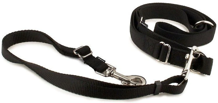 PetSafe Nylon Hands-Free Running Dog Leash 1 PetSafe Nylon Hands-Free Running Dog Leash
