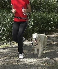 PetSafe Nylon Hands-Free Running Dog Leash 8 PetSafe Nylon Hands-Free Running Dog Leash -PetSafe Store 63694 PT3. SY630 V1523643013