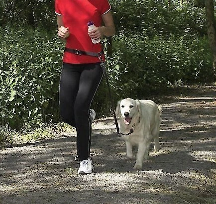 PetSafe Nylon Hands-Free Running Dog Leash 4 PetSafe Nylon Hands-Free Running Dog Leash - Image 4